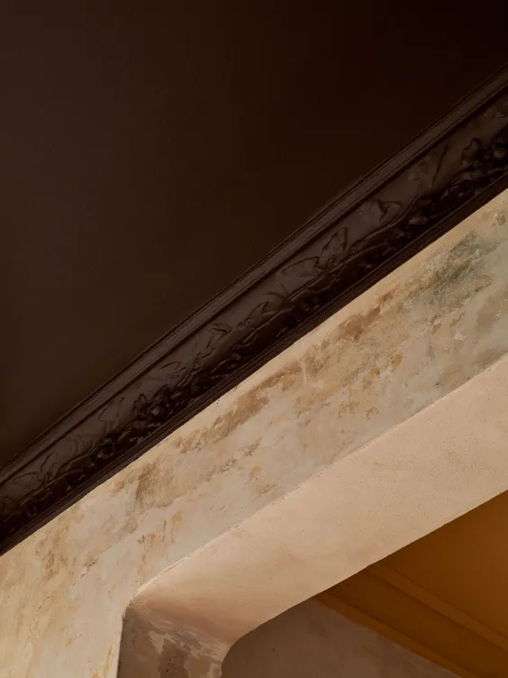 Marie Olsson Nylander x Alcro