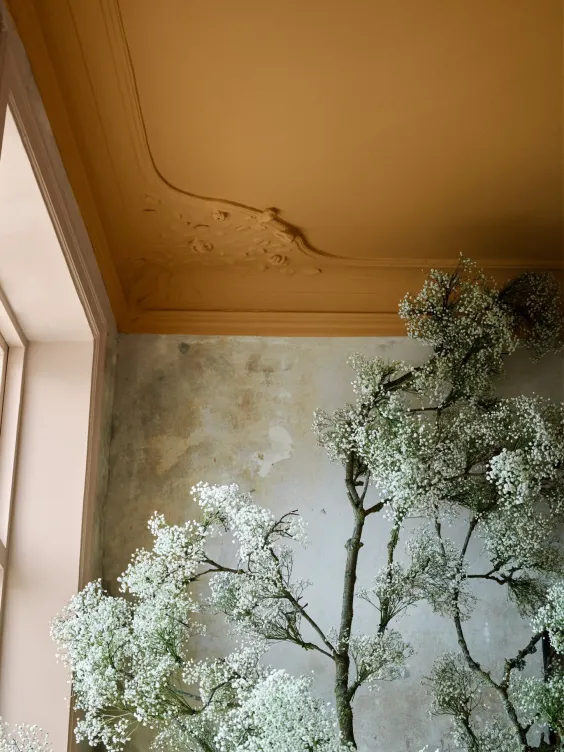 Marie Olsson Nylander x Alcro