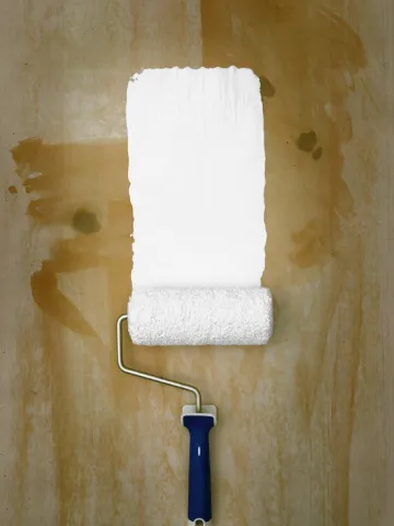 Rollar väggen med färg